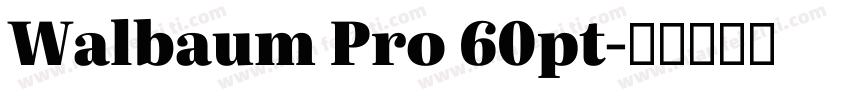 Walbaum Pro 60pt字体转换